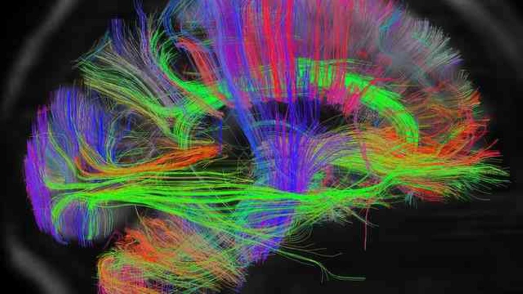 Human Connectome project combined image showing neural energy moving along neural wires front to back in green and top to bottom in blue and left to right in red